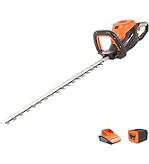 etevila - Taille-Haies sans fil 40V avec Lame 60cm, Batterie au Lithium et chargeur - LH G60