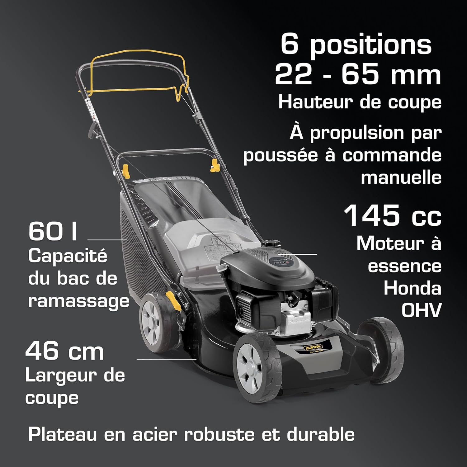 Alpina - tondeuse essence Series AL4 - 46cm coupe, 60L bac, moteur 145cc AL4 46 SH