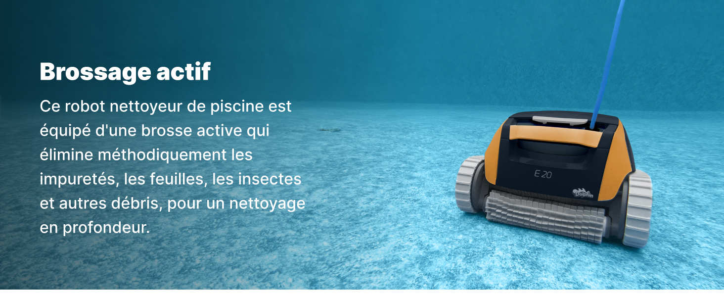 Dolphin E20