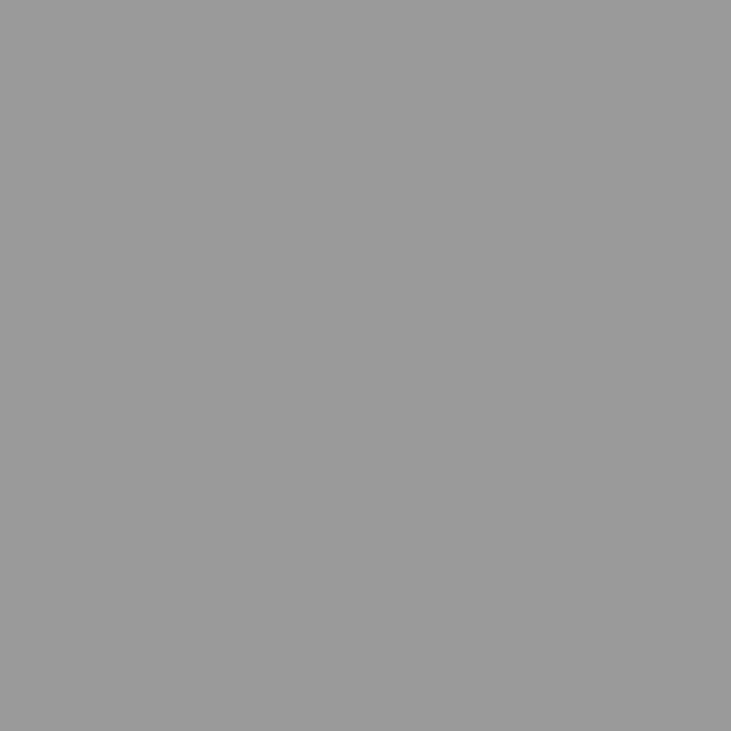Générique Abri de Jardin avec Toit prolongé Gris Clair 277x107x181 cm, Maison & Jardin, Pelouses & Jardins, Vie en extérieur, Structures extérieures, Cabanes & abris de Jardin, Gris, (Poids 41.56KG)