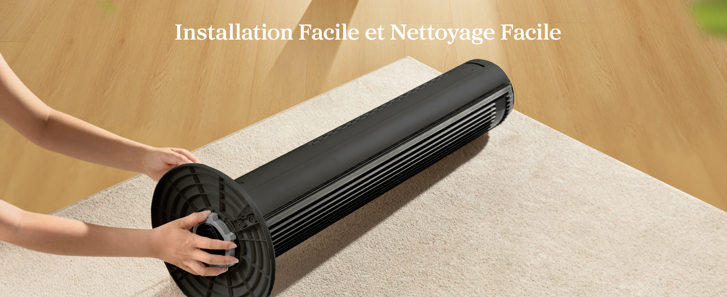 Le texte indique « Balai d'épilation pour animaux de compagnie Vacuum Carpet Fur » montrant un outil de nettoyage à manche noir utilisé sur un tapis beige à la maison.