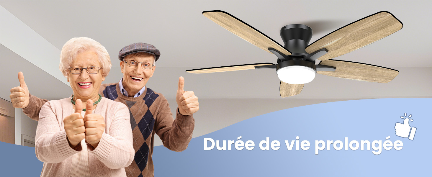 à cinq pales en bois et luminaire intégré. Dispose d'un boîtier moteur noir et est monté au ras d'un plafond blanc.