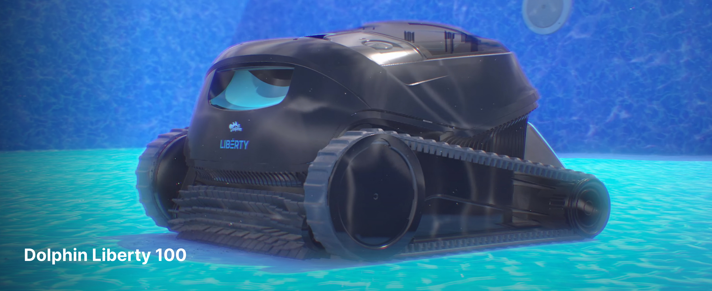 Dolphin Liberty 100