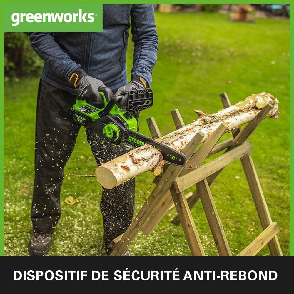 Greenworks - tronçonneuse sans fil 30cm, moteur brushless, 24V, GD24CS30K4