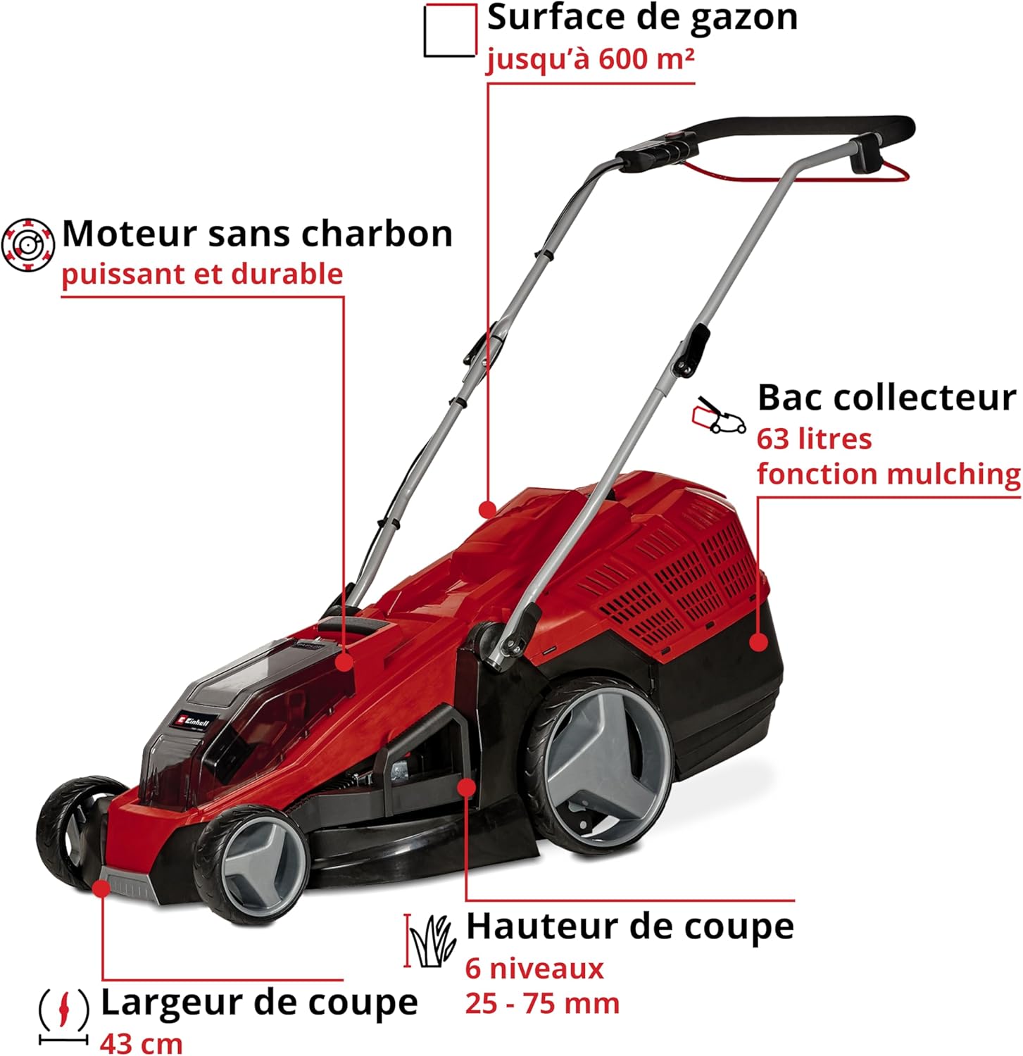 Einhell Tondeuse à Gazon sans Fil GE-CM 36/43 Li M-Solo PXC (36 V, Largeur de Coupe 43 cm, Jusqu’à 600 m², Moteur sans Charbon, Fonction Mulching, bac 63 L, Hauteur de Coupe 25-75 mm, sans Batterie)