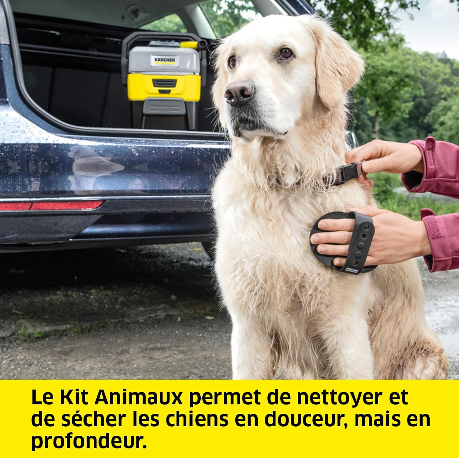 Kärcher Nettoyeur à Pression Mobile OC 3 + Kit Animaux, Débit : 2 L/h, Réservoir : 4L, Tuyau : 2,8 m, Buse à Jet Plat, Buse Conique, Brosse Pet, Serviette pour Animaux Domestiques, Boîte de Rangement