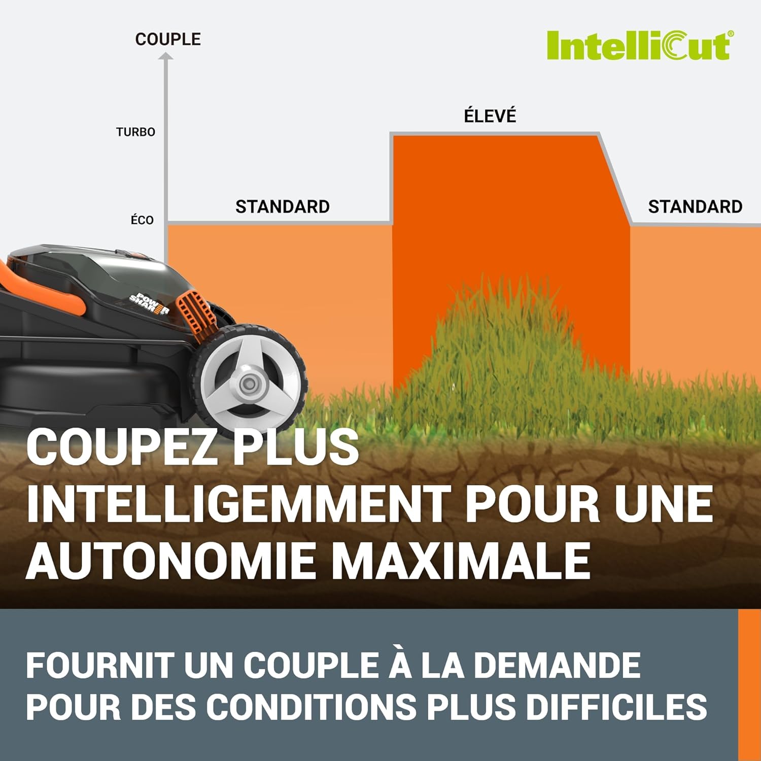 WORX - tondeuse sans fil 34 cm, 40V, 230m², 6 hauteurs, légère WG779E.1