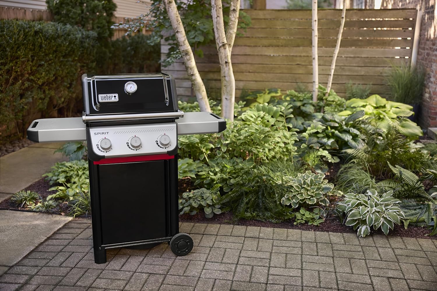 Weber - Spirit E-310 - 51 x 46 cm - 3 brûleurs, grille chaleur uniforme, roues durables