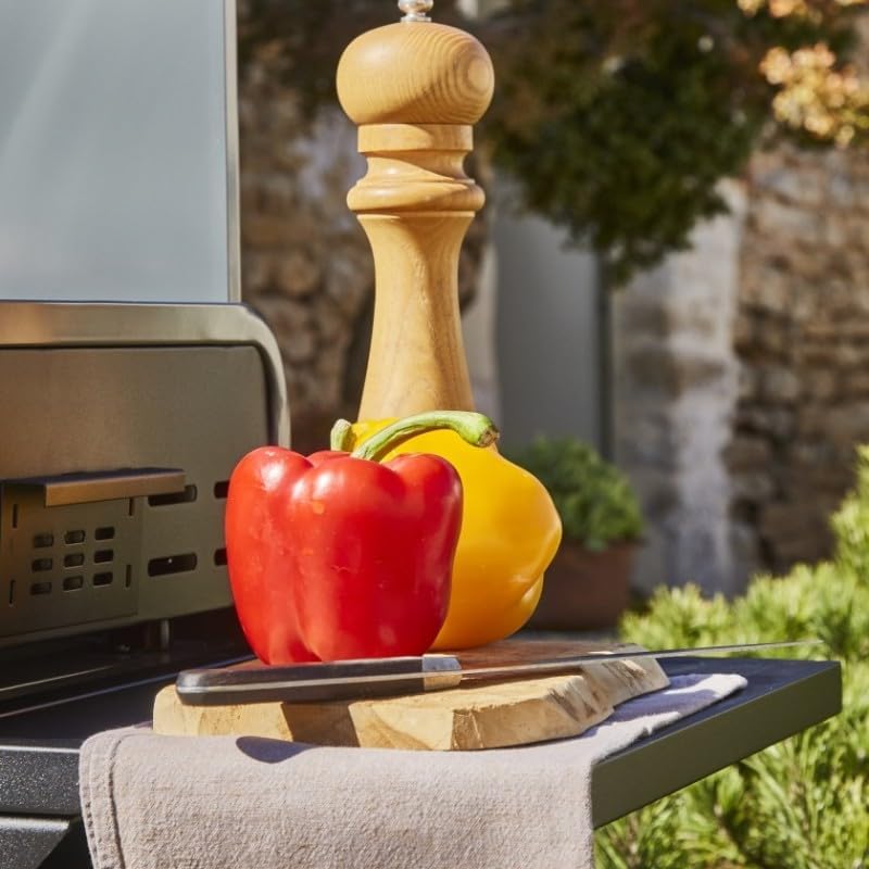 Brasero - Plancha Lola sur chariot, 88x35,5cm, 4 brûleurs gaz, 9,6kW