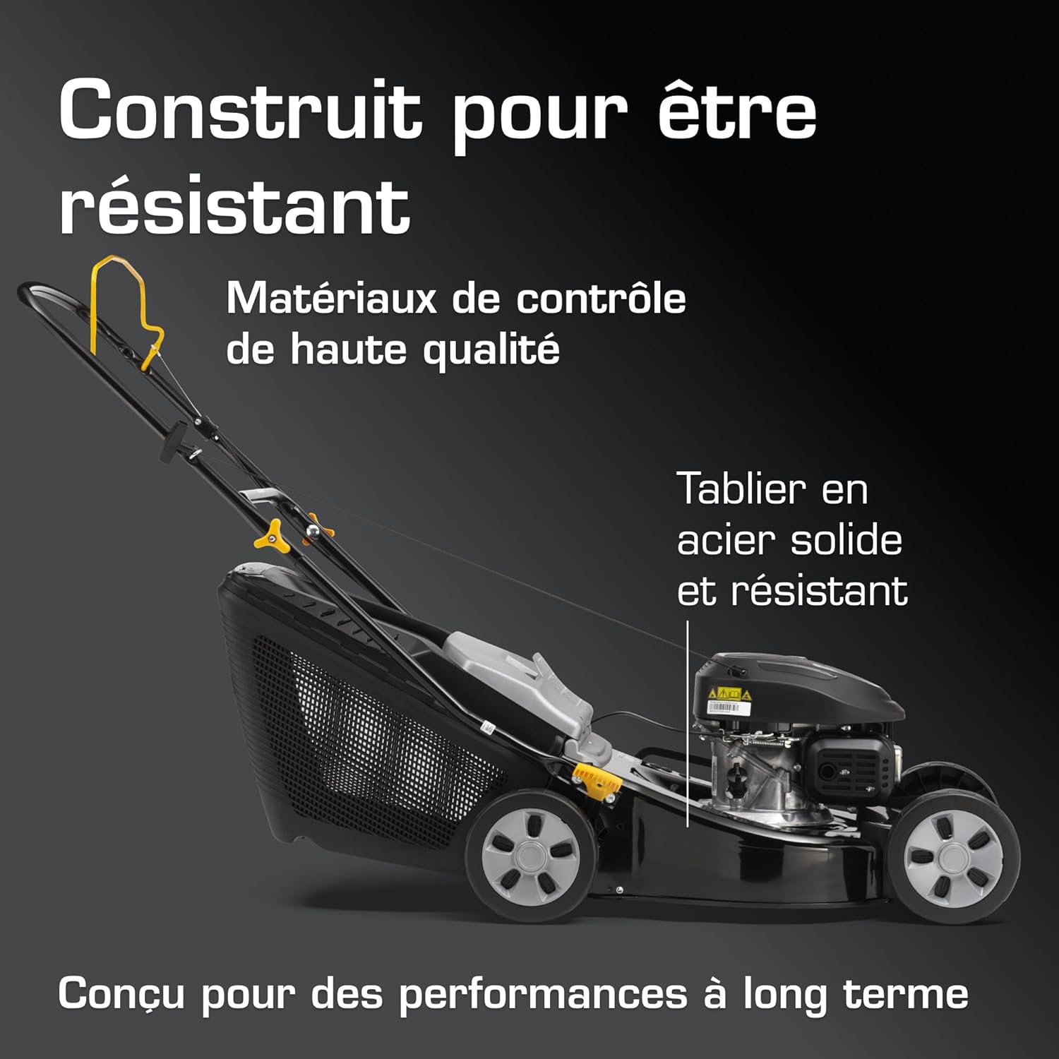 Alpina AL4 41 A Tondeuse À Gazon Poussée, 1900 W, 41 cm – Bac 60 L, Réglage Centralisé 6 Positions – Pelouses jusqu'à 1 000 m²