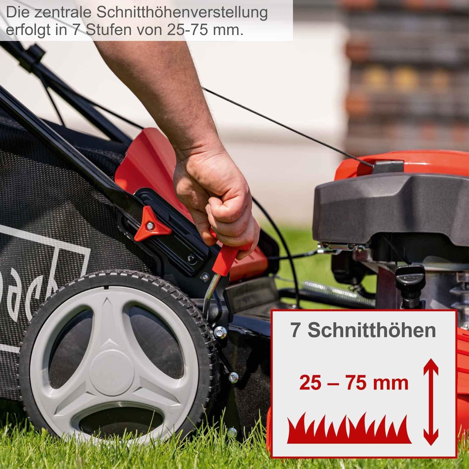Scheppach Tondeuse à Gazon à Essence MS230-53 – Moteur 4 Temps 6 CV 4400 W – Largeur de Coupe 53 cm – Jardins de 1800 m² – Hauteur de Coupe réglable – Bac de 65 l – Fonction Mulching – Huile Incluse