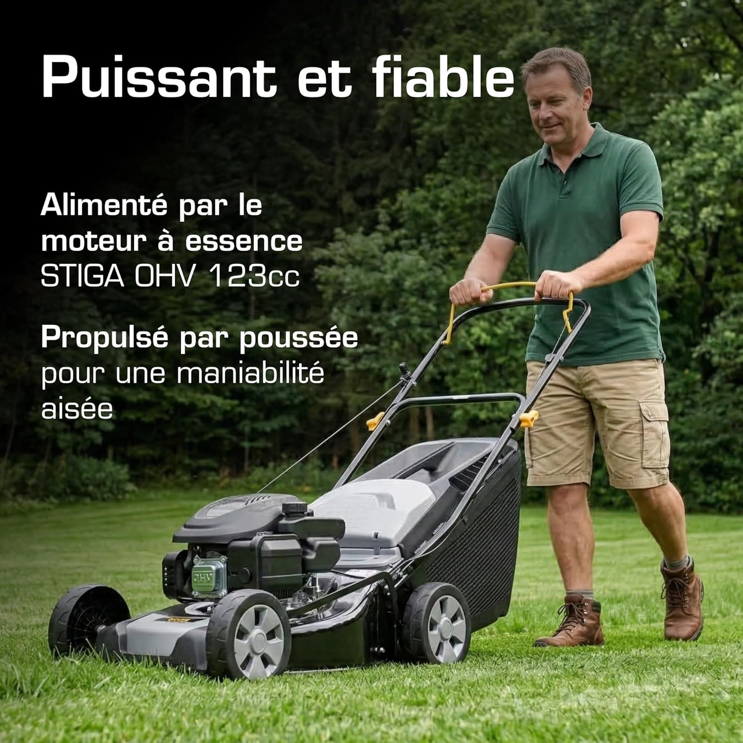 Alpina AL4 41 A Tondeuse À Gazon Poussée, 1900 W, 41 cm – Bac 60 L, Réglage Centralisé 6 Positions – Pelouses jusqu'à 1 000 m²