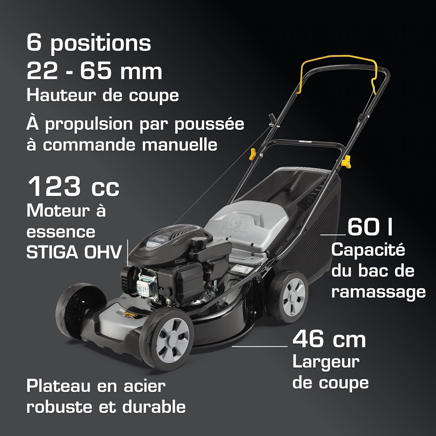 ALPINA AL4 46 A Tondeuse à Main à Essence - Largeur de Coupe 46cm, bac de ramassage 60L
