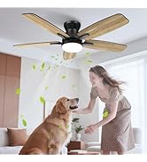 Airwit Ventilateur de plafond 106 cm avec éclairage, pales double face, silencieux