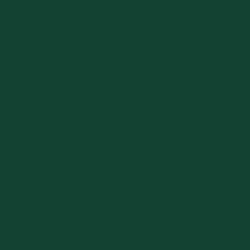 vidaXL Abri de Jardin, Cabane à Outils avec Poignées, Remise à Outils avec Toit Inclinable, Abri de Rangement Terrasse, Vert 277x93x179 cm Acier Galvanisé