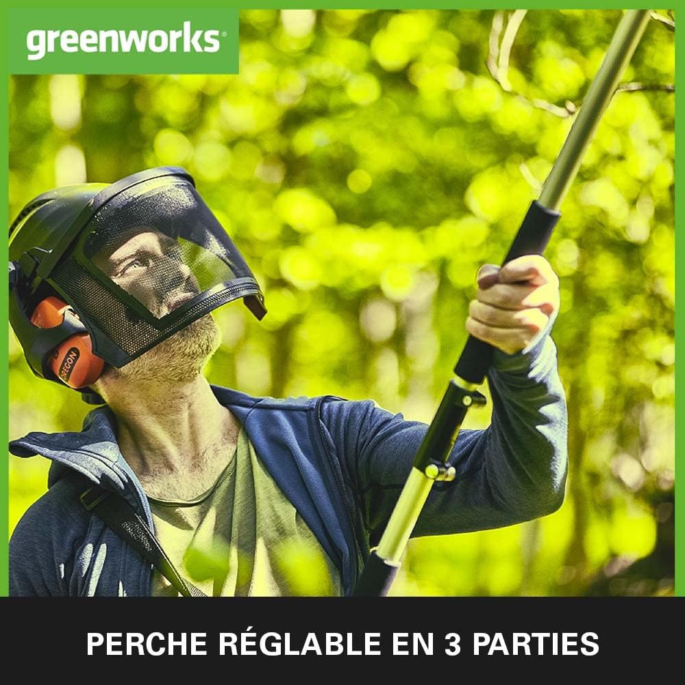 Greenworks G40PSFK2 Élagueuse sur Perche, Longueur des barres 8 Pouces (20cm), Vitesse 8 m/s, 3,64 kg, Graisseur Automatique, Portée 2.58 m, Batterie 40V 2Ah, Chargeur, Garantie 3 Ans