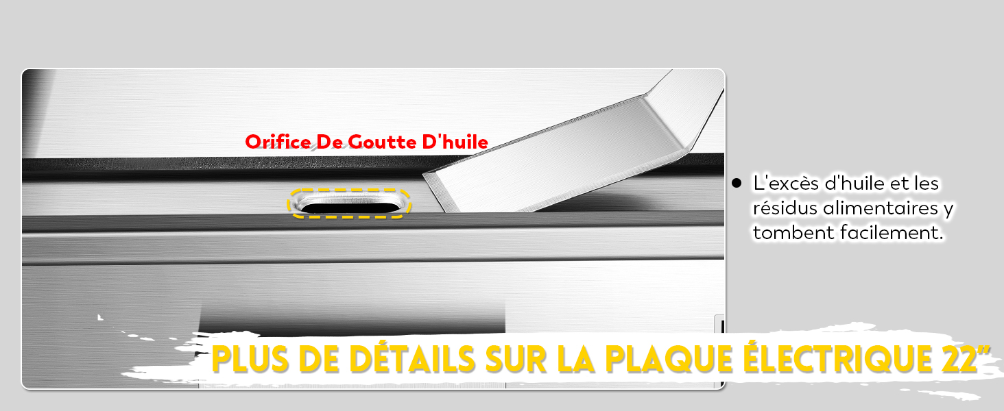 La plaque chauffante ou la surface de cuisson électrique sont présentées dans plusieurs vues détaillées avec le texte français sur les spécifications visible en haut.