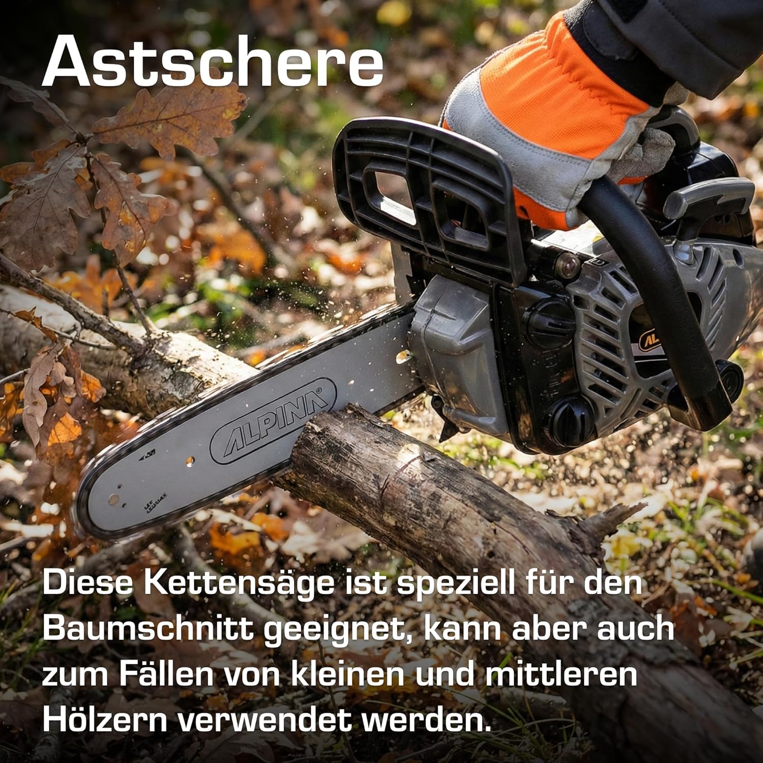 Alpina - APR 25 - guide 25 cm - moteur 25,4 cc, 900 W, chaîne 21 m/s
