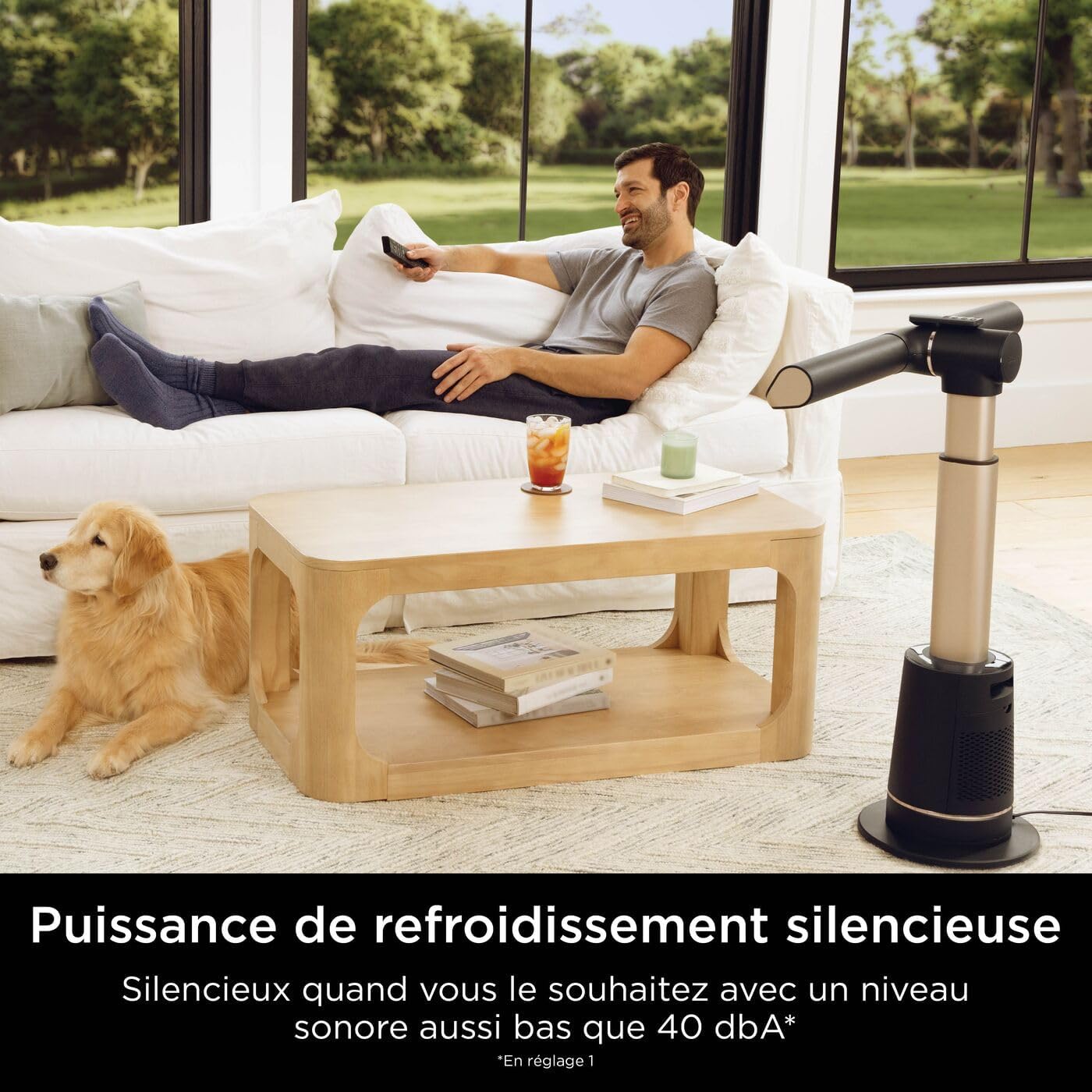 Shark - TurboBlade série - ventilateur colonne sans pale, 180°, 10 vitesses, gris - TF200SEU