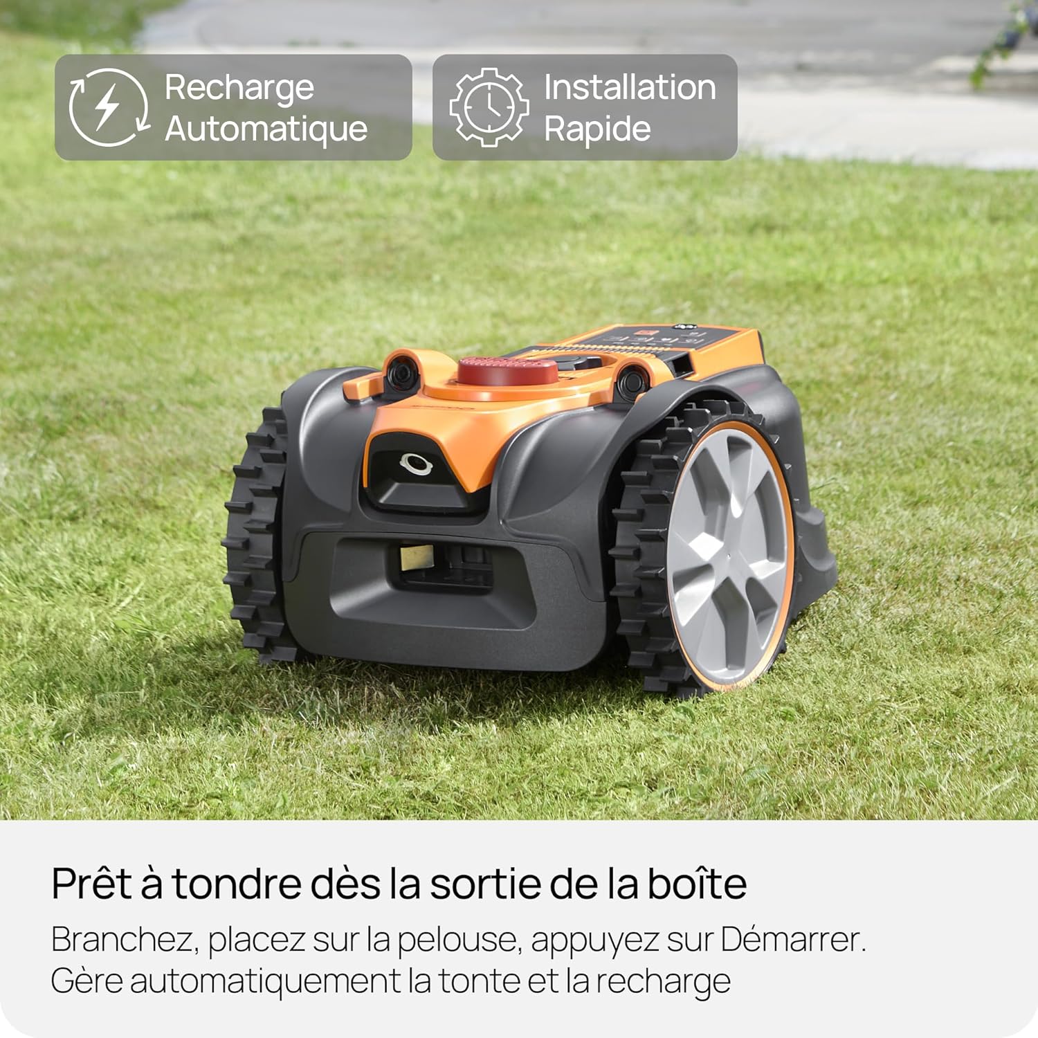 Lawnmaster - OcuMow 16 Série - 300㎡ - Évitement intelligent, navigation optique, charge automatique AMB16P2