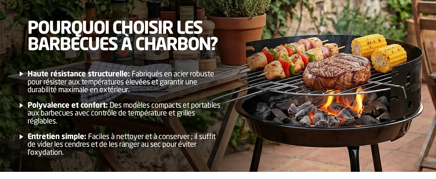 Le texte se lit comme suit : « POURQUOI CHOISIR LES BARBECUES À CHARBON ? » Gril au charbon de bois avec viandes et légumes grillés sur la grille de cuisson à l'extérieur.