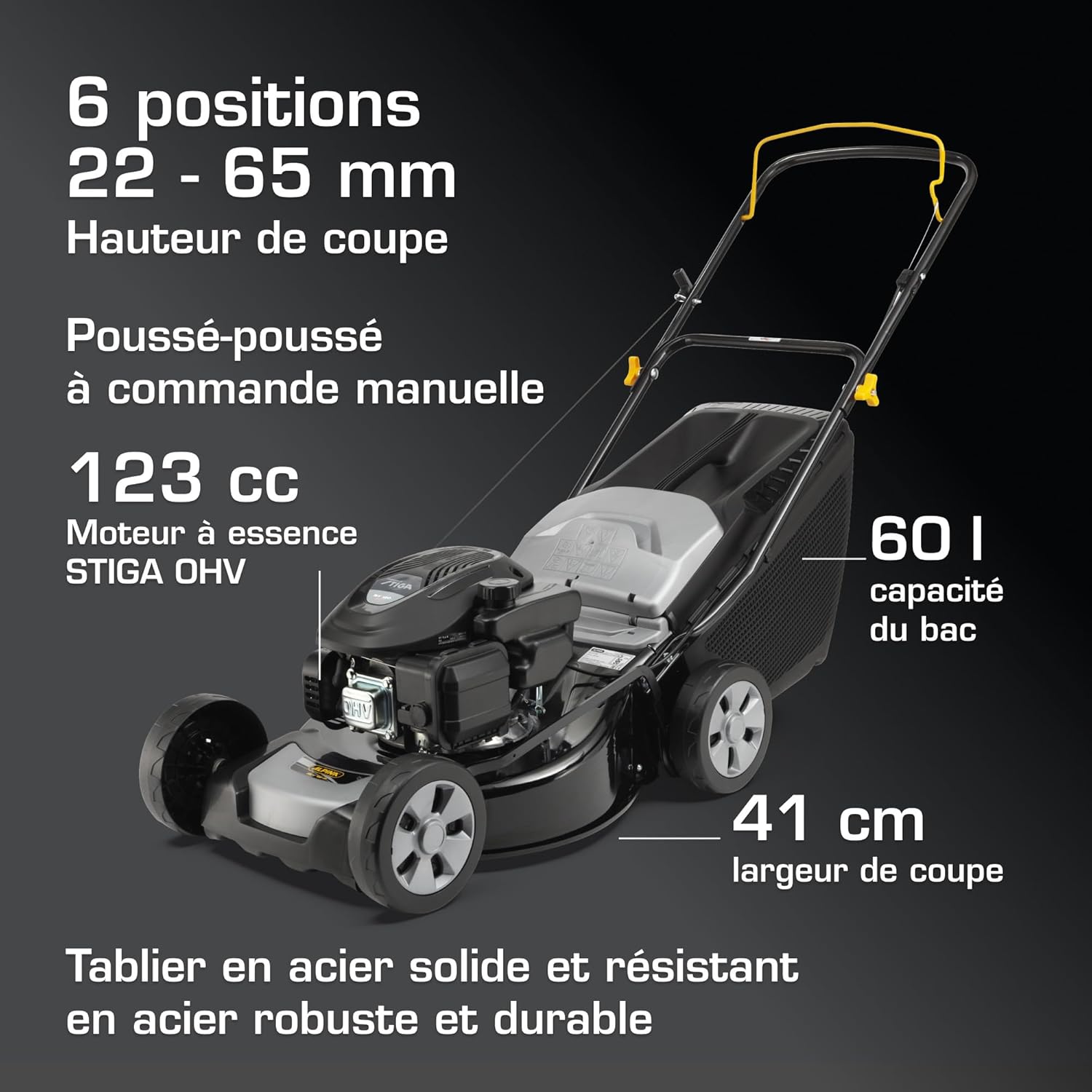 Alpina AL4 41 A Tondeuse À Gazon Poussée, 1900 W, 41 cm – Bac 60 L, Réglage Centralisé 6 Positions – Pelouses jusqu'à 1 000 m²