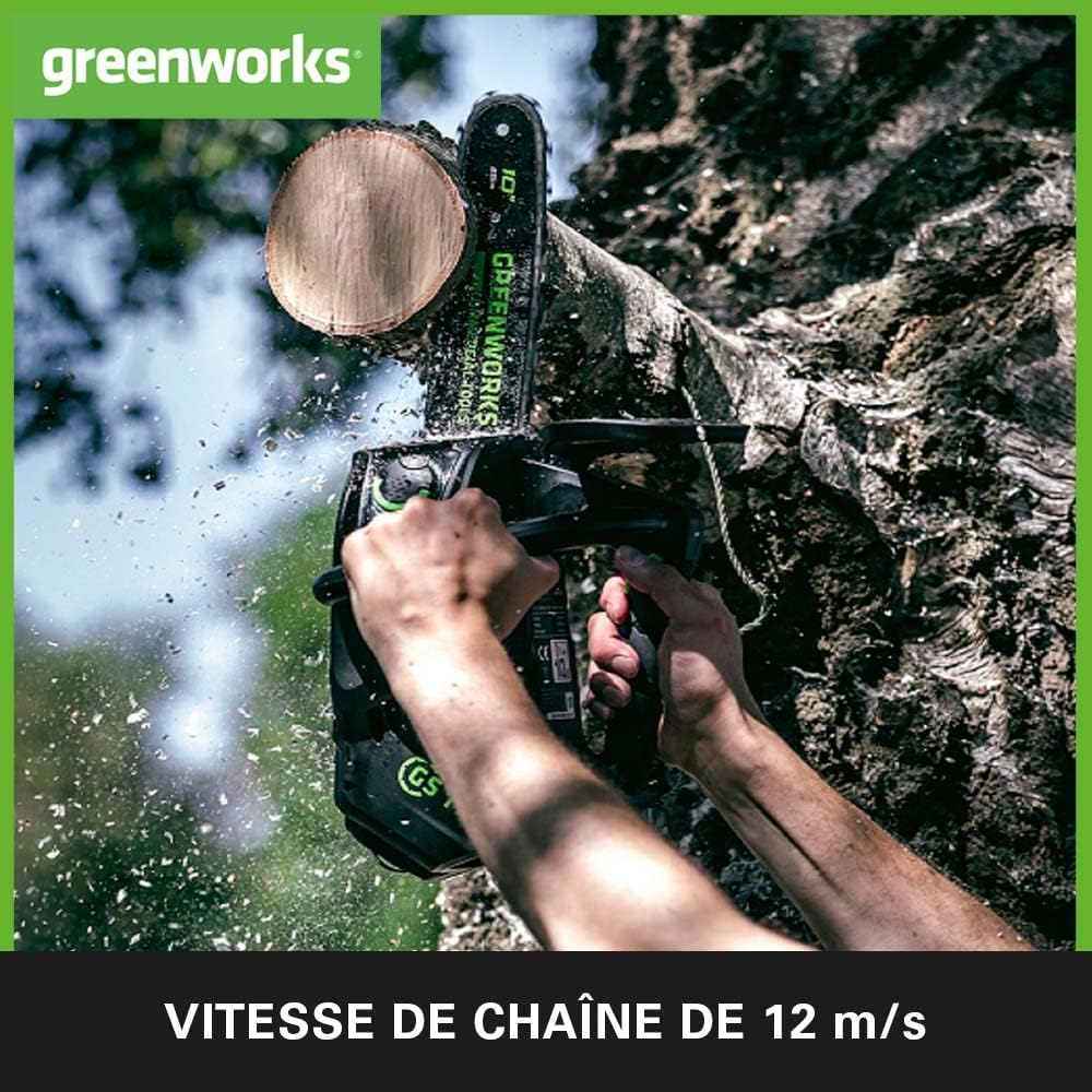 Greenworks GD40TCSK2 Tronçonneuse à Batterie Top Poignée Moteur Sans Balais, Longueur Guide-Chaîne 25 cm, Vitesse de Chaîne 12m/s, 2,4kg, Graisseur Automatique, Anti-rebond, Batterie 40V 2Ah, Chargeur