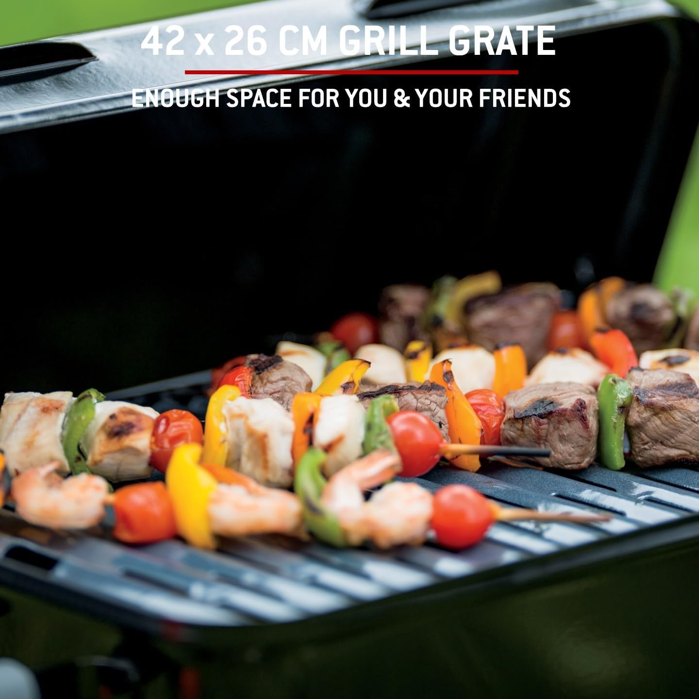 Weber - Go-Anywhere - 42x26cm - barbecue gaz portable pieds repliables