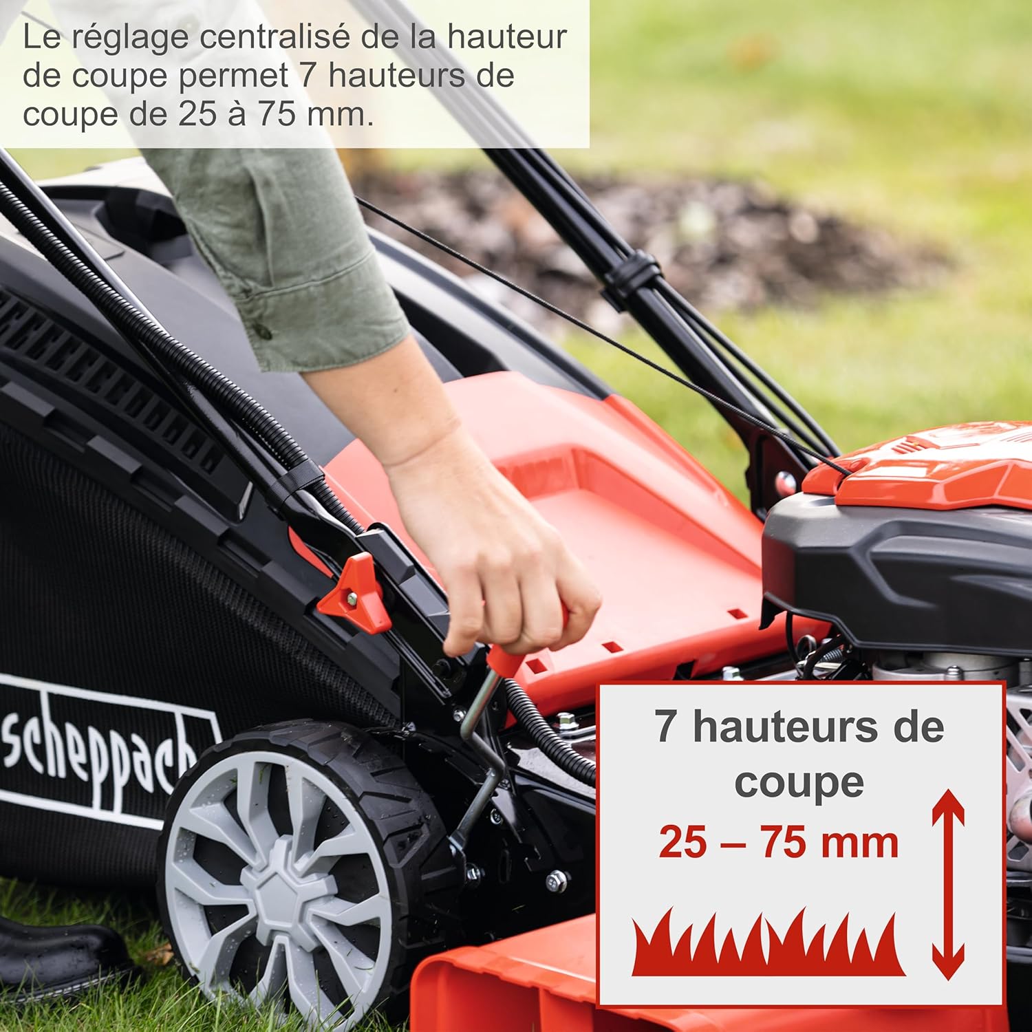 Scheppach Tondeuse à Gazon Thermique MS225-56 - Moteur 4 Temps 6 CV - 224 cm3 - Largeur de Coupe 56 cm - 2200 m² - bac 65L - Hauteur de Coupe 25-75 mm