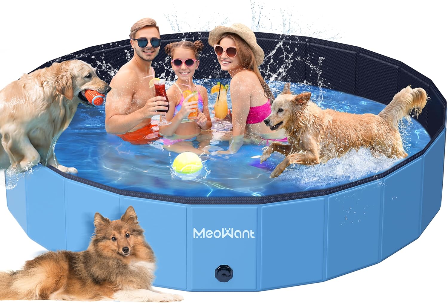 Meowant Piscine pour Chiens, Piscines Pliables pour Chiens de Grande Taille, Piscine de Bain pour Animaux de Compagnie, Baignoire Portable Antidérapante pour Chien Intérieure et Extérieure (220 * 40)