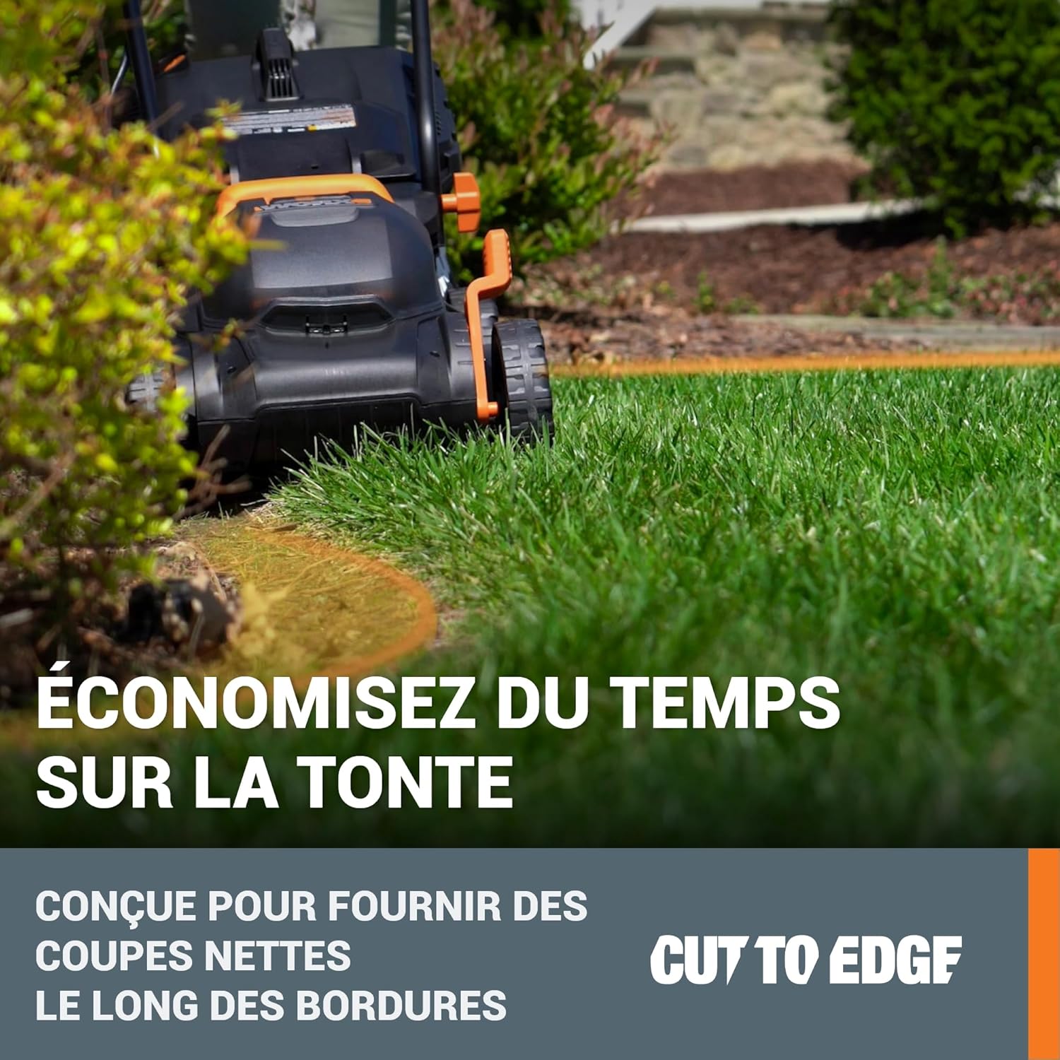 WORX - tondeuse sans fil 34 cm, 40V, 230m², 6 hauteurs, légère WG779E.1