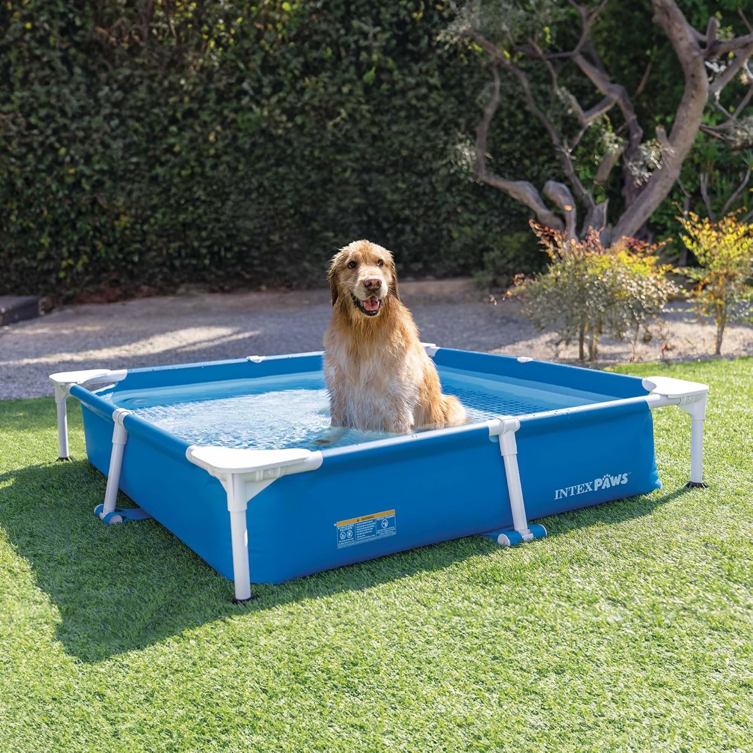 Intex - Animaux - piscine carrée tubulaire enfants - 1,59m - 48402NP