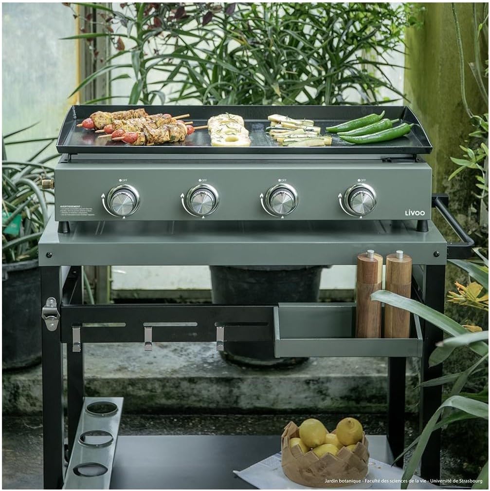 LIVOO - plancha gaz 4 brûleurs - 78,5 x 34,5 cm - 10 kW, butane/propane, DOC325