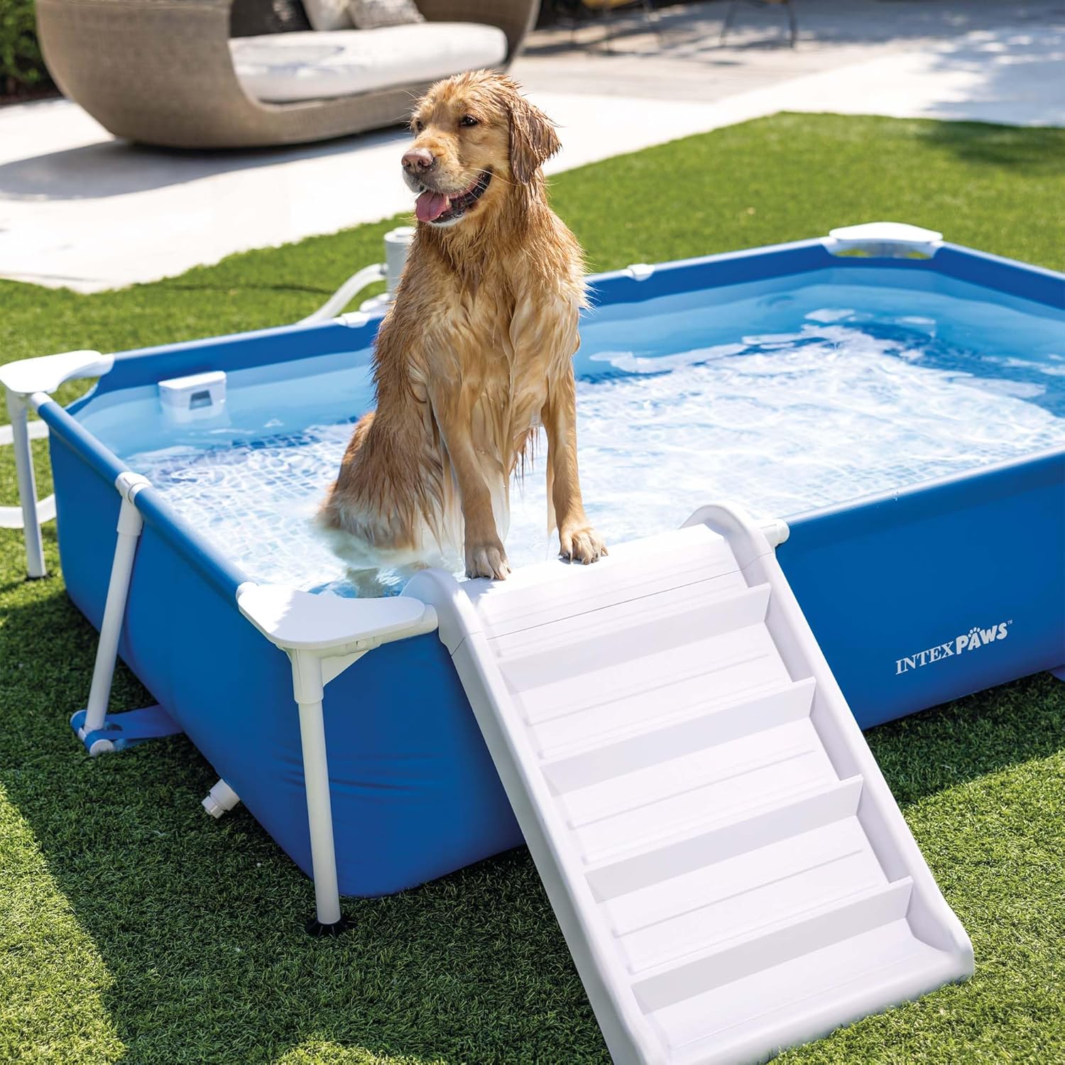 Intex - Piscine Tubulaire Animaux rectangulaire - kit complet - 48404NP