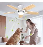 Airwit Ventilateur de plafond silencieux 106 cm avec éclairage et télécommande, pales double face
