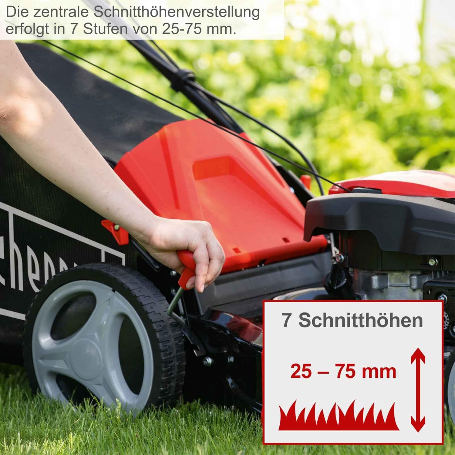 Scheppach - MS173-51 - tondeuse thermique 51cm, autotractée, mulching, panier 65L