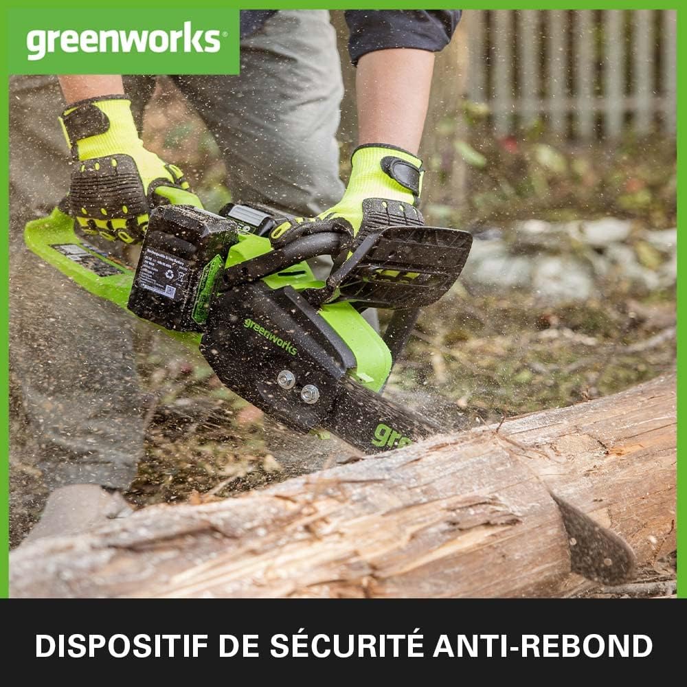 Greenworks - Tronçonneuse sans fil série 48V - 35cm - moteur sans balais, vitesse 20m/s, 2 batteries 24V 4Ah, graisseur 
