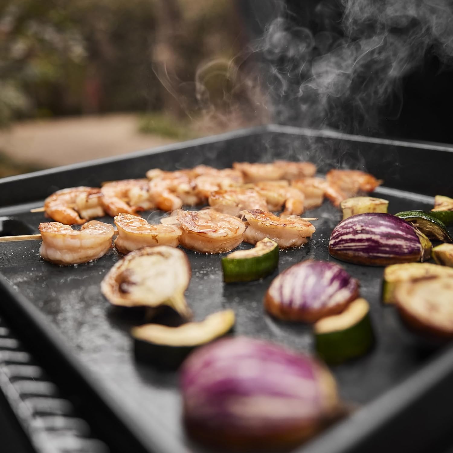 Weber - SLATE GP Premium - 43x41 cm - plancha émaillée, pieds réglables