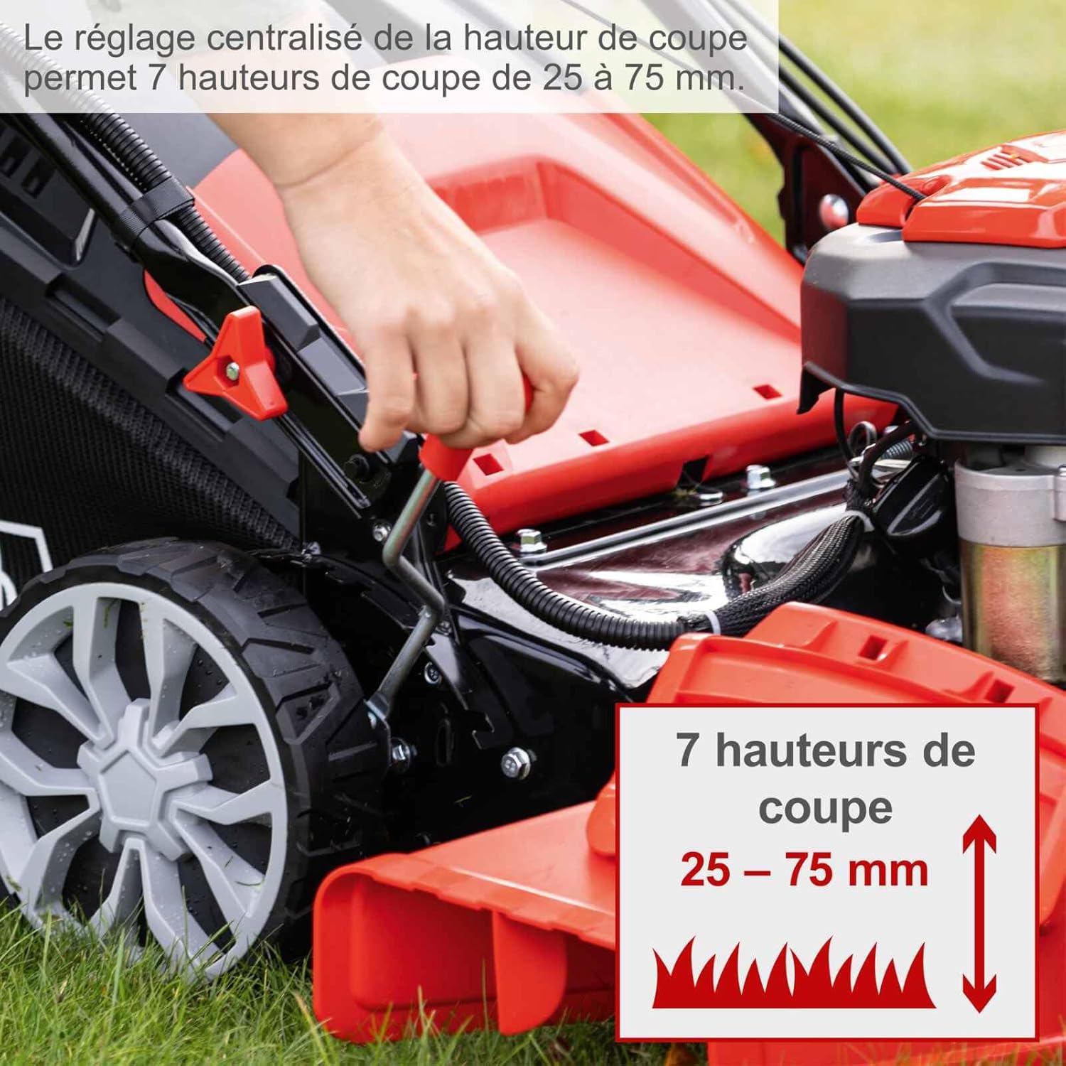 Scheppach - MS225-56 - 56 cm - Tondeuse thermique 6 CV, 224 cm³, bac 65L
