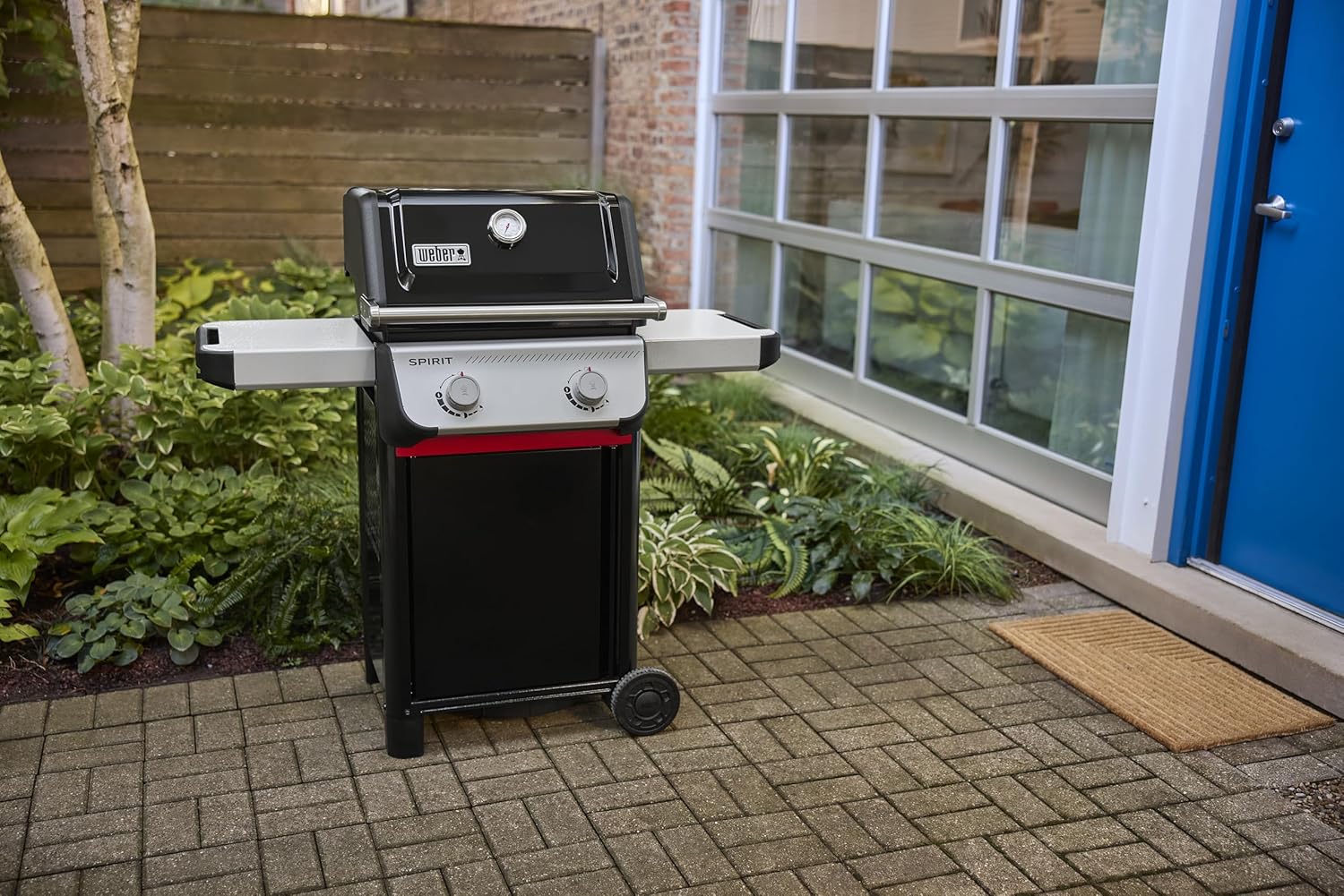 Weber - Spirit E-210 - 51x46 cm - 2 brûleurs, tablettes intégrées