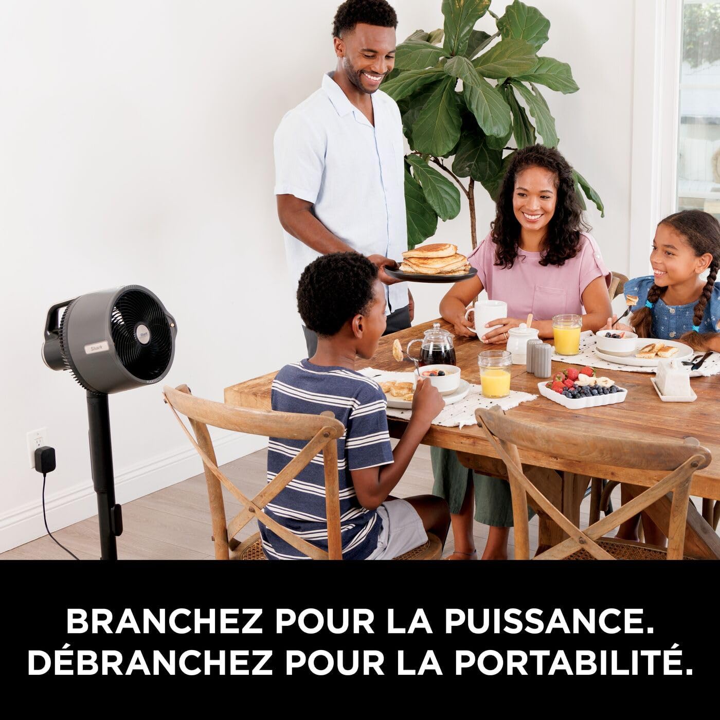 Shark - FlexBreeze Pro - ventilateur intérieur/extérieur - sans fil, brumisateur, 5 vitesses, télécommande, silencieux, 