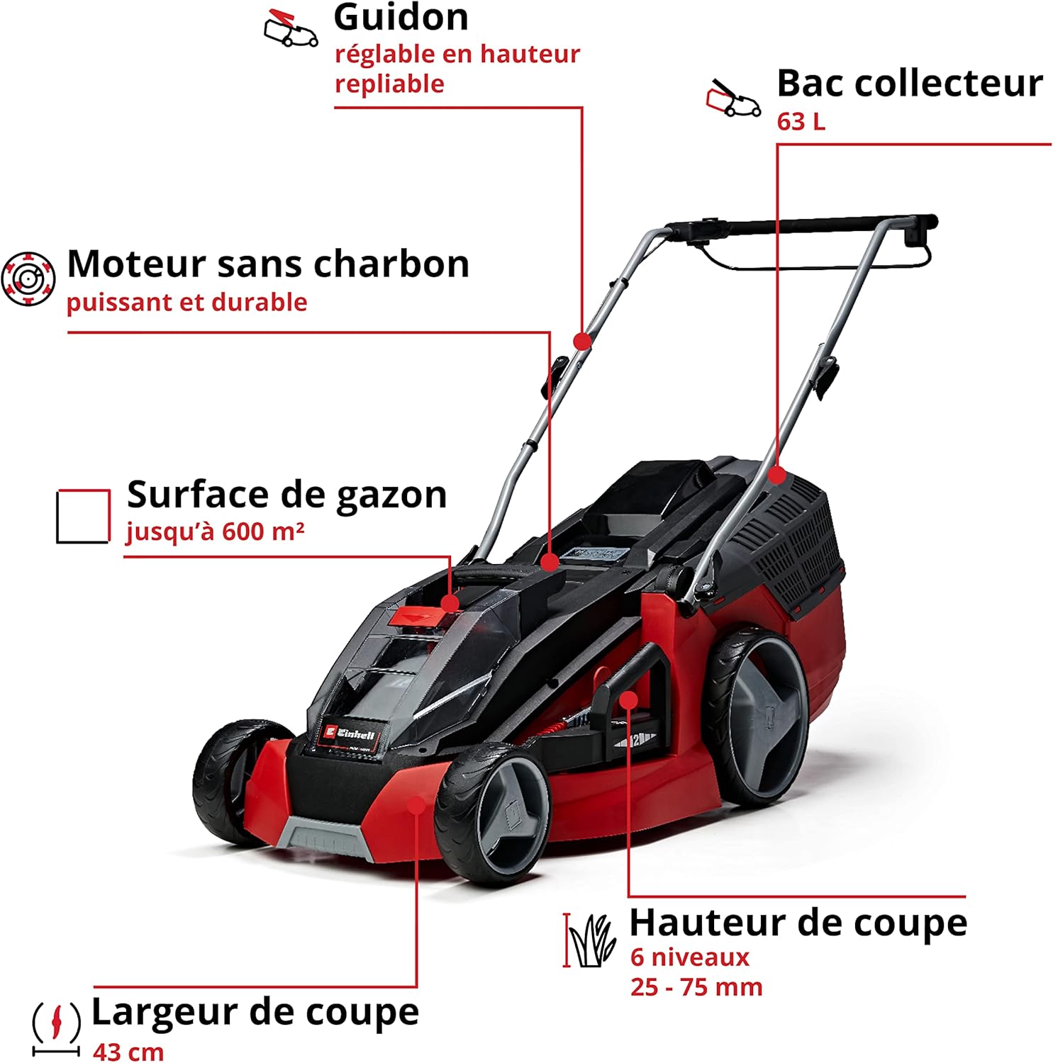 Einhell Tondeuse à Gazon sans Fil GE-CM 43 Li M KIT Power X-Change (36V, Largeur de Coupe 43 cm, Surface conseillée 500 m²) Livré avec 2 Batteries 4,0 Ah et Chargeur