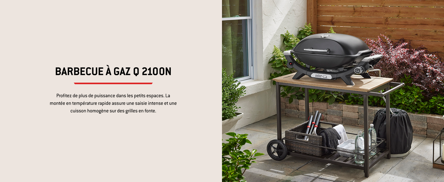 Le texte se lit comme suit : « BARBECUE À GAZ 2 TOON ». Plusieurs vues d'un barbecue à gaz extérieur en acier inoxydable avec étagères latérales et armoire de rangement en dessous.