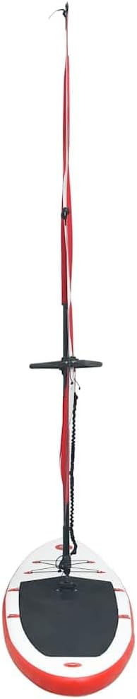vidaXL Ensemble de Planches Gonflables avec Voile Surf Plusieurs Couleurs