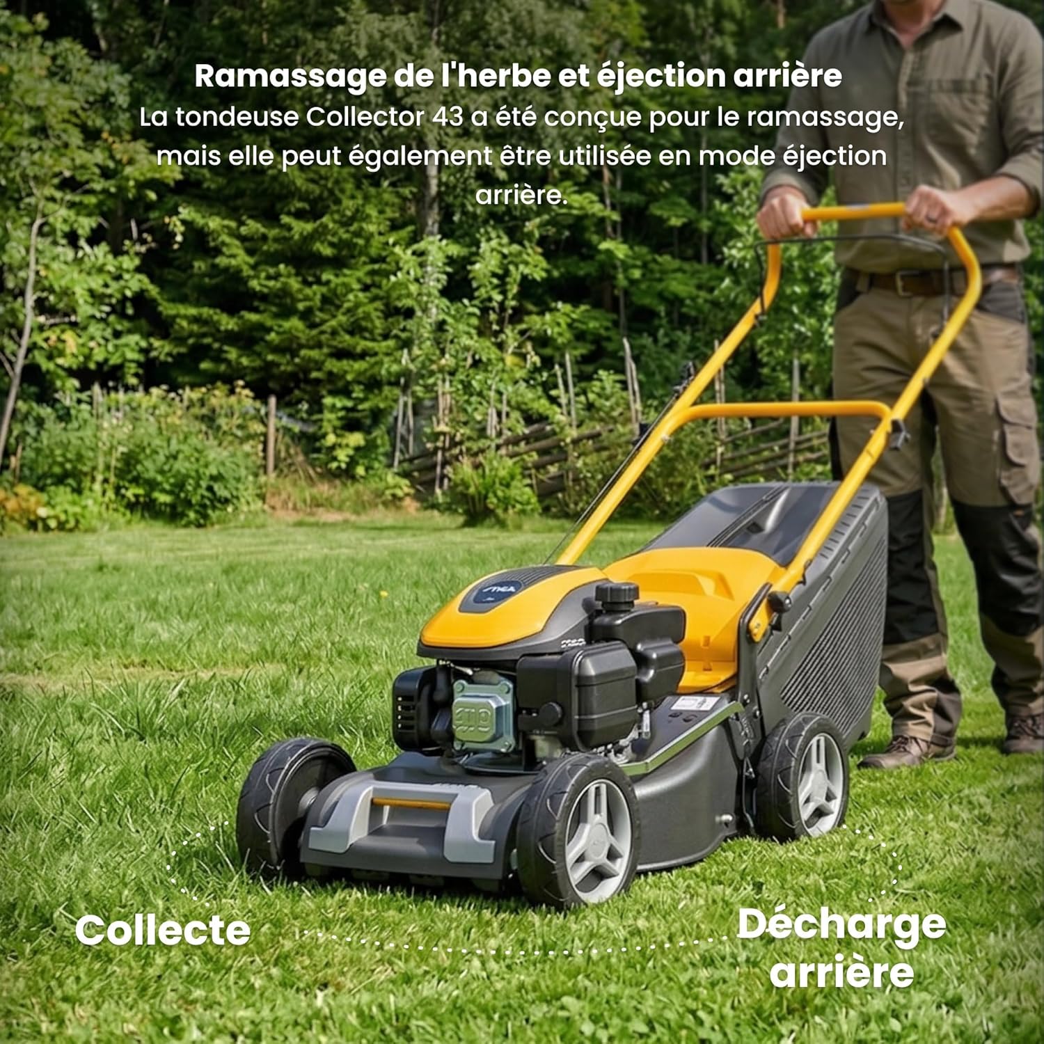 STIGA - Collector 43 - 41 cm, 123 cm3, 60L, réglage centralisé 6 positions