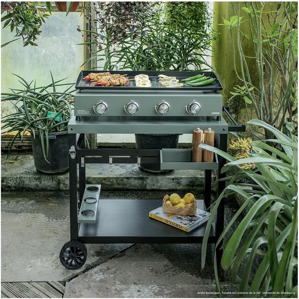 LIVOO - plancha gaz 4 brûleurs - 78,5 x 34,5 cm - 10 kW, butane/propane, DOC325