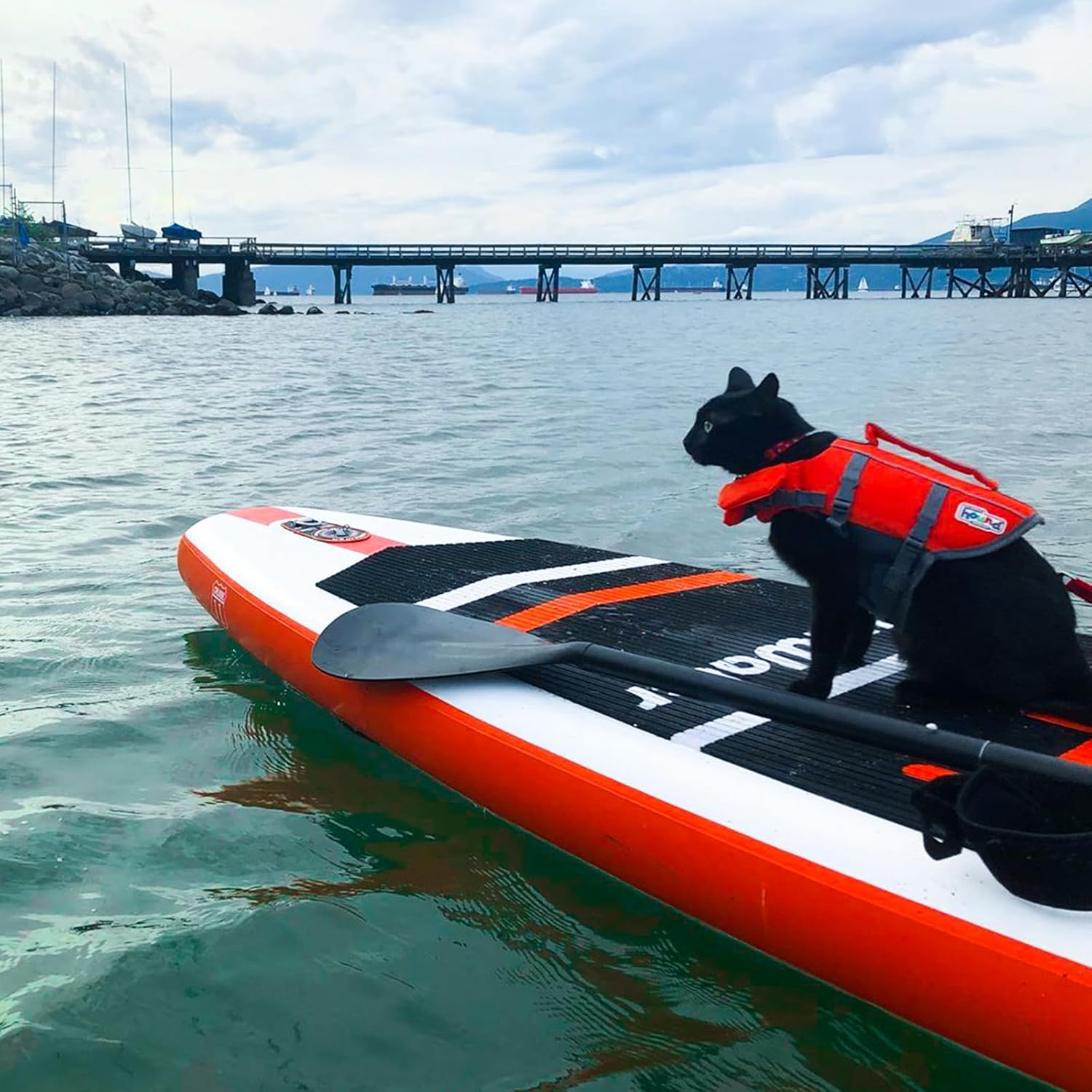 FunWater - SUP Gonflable Débutant/Famille - 320cm - Antidérapant EVA, pack complet