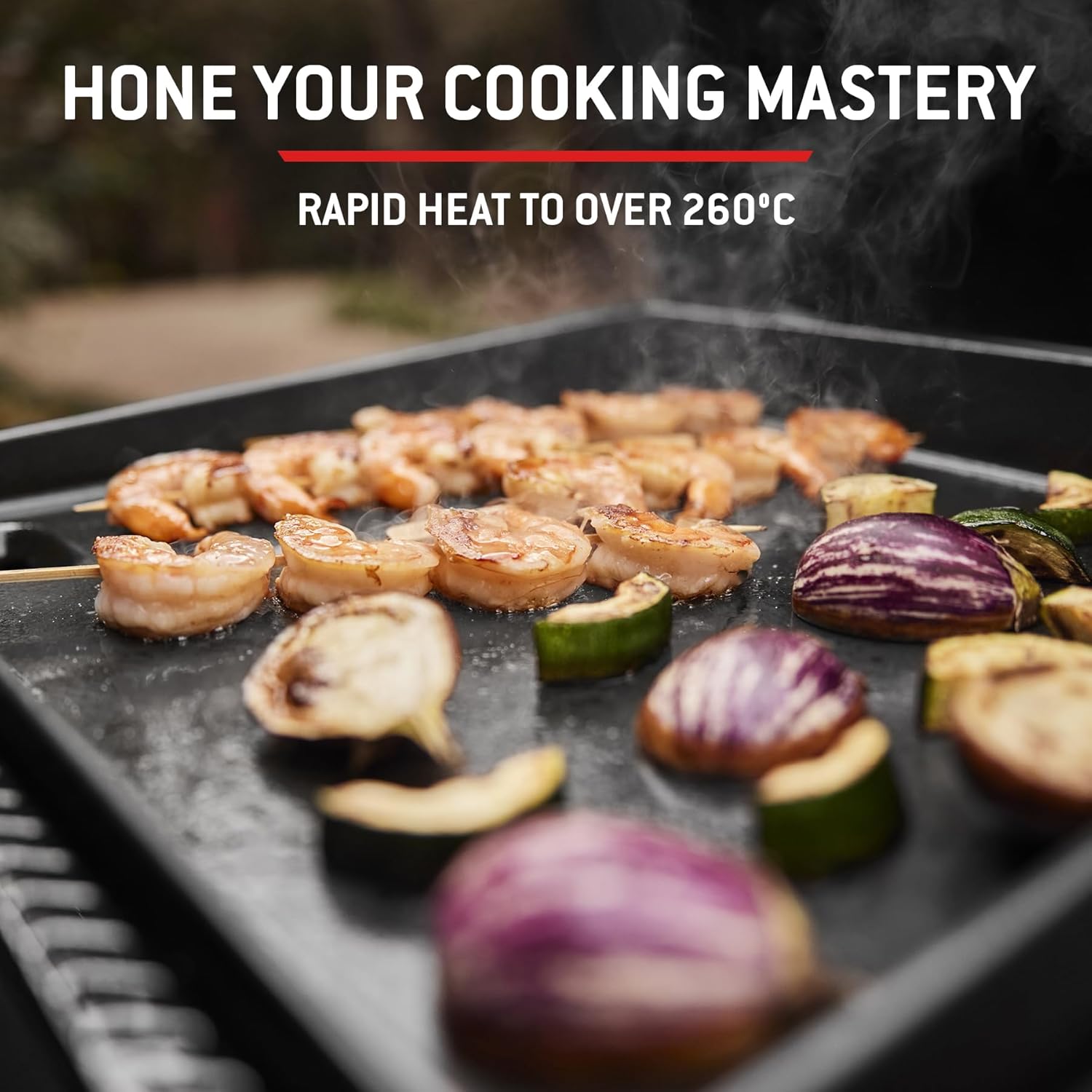 Weber - SLATE GP Premium - 43x41 cm - plancha émaillée, pieds réglables