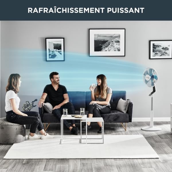 Rowenta - Turbo Silence sur pied - 45dB, 72m³/min, modes, VU5640F2