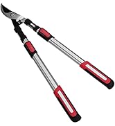Amig - Cisaille d'Élagage Extensible à Deux Mains | Manche Télescopique en Aluminium | Lame en Ac...